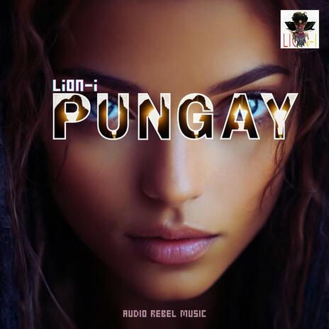 Pungay | Boomplay Music