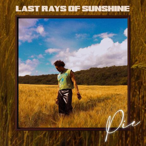 Last Rays of Sunshine | Boomplay Music