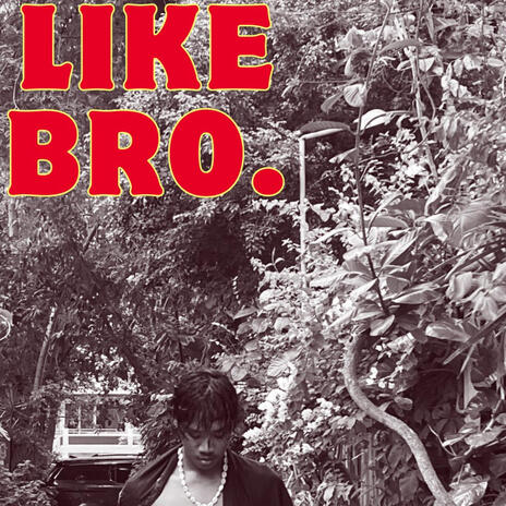 Like Bro. | Boomplay Music