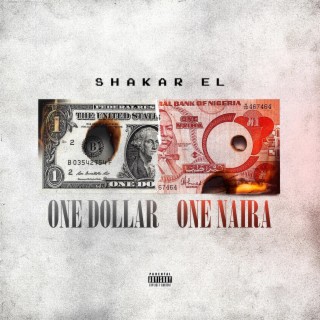 One Dollar One Naira lyrics | Boomplay Music