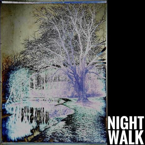 Night Walk | Boomplay Music