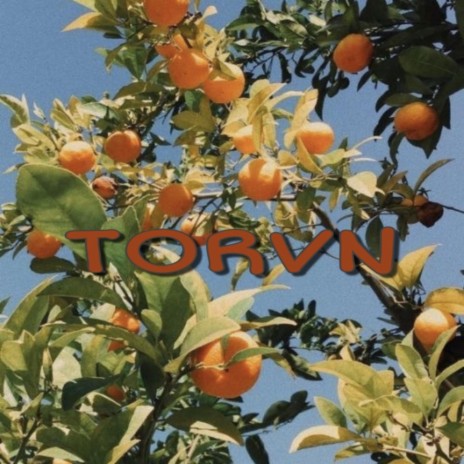 TORVN | Boomplay Music