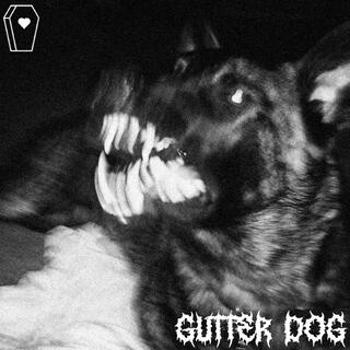 GUTTER DOG