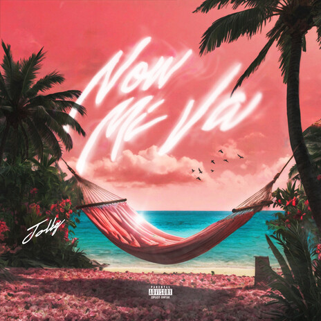 NON MI VA | Boomplay Music