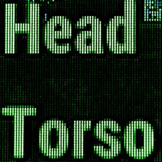 head/torso