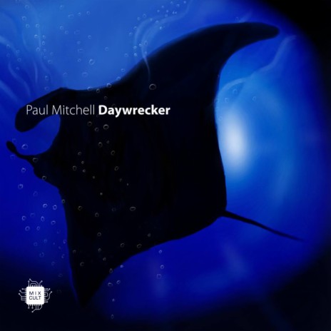 Daywrecker (Radio Version) | Boomplay Music