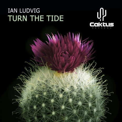 Turn The Tide (Original Mix)