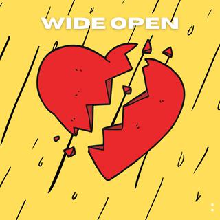 Wide Open (Radio Edit) ft. Launch Point & Coyote Republic lyrics | Boomplay Music