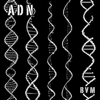 ADN: Latin Beat Tape, Vol. 1