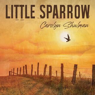 Little Sparrow lyrics | Boomplay Music