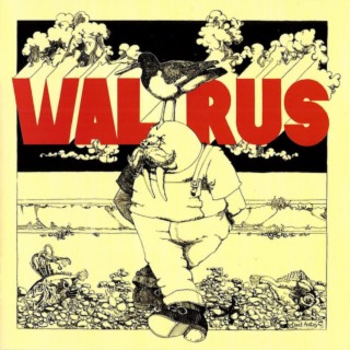 Walrus