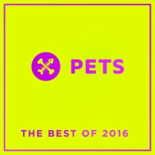 PETS Recordings best of 2016