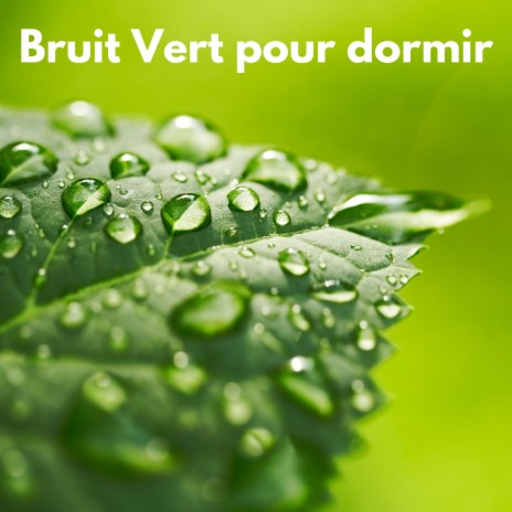 Bruit de la pluie sur le toit (Bouclable) | Boomplay Music