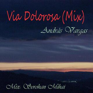 Via Dolorosa (Mix) (Remixed Version)