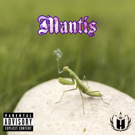 Mantis (Instrumental Rap Hip Hop)