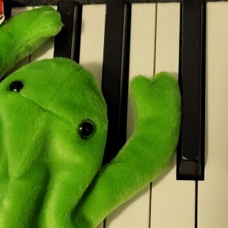 Frog Plays A Tune