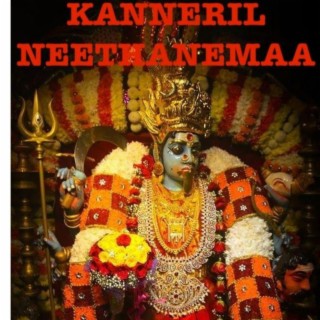 KANNERIL NEETHANEMAA