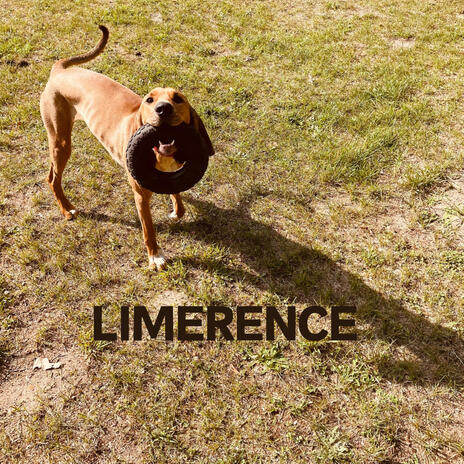 Limerence | Boomplay Music