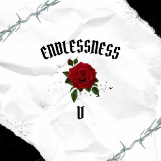 Endlessness V