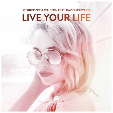 Live Your Life (feat. David Schwartz) | Boomplay Music