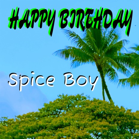 Happy Birthday Spice Boy | Boomplay Music