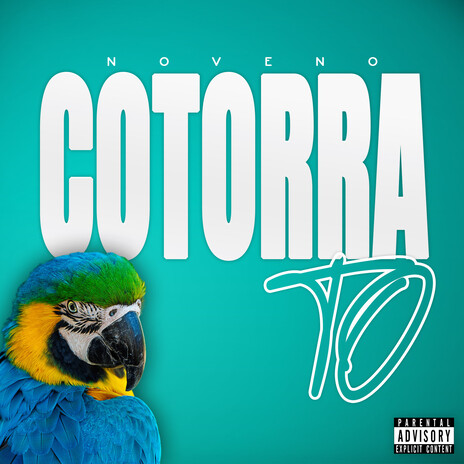 Cotorra to | Boomplay Music