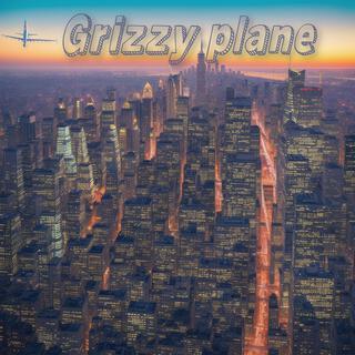 Grizzy plane