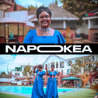 NAPOKEA