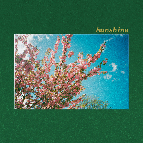 Sunshine ft. Zmeyev | Boomplay Music