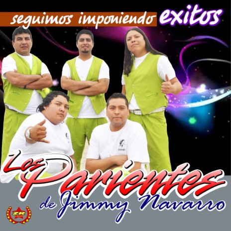 Llaneros Me Caí de la Nube /Las Cantinas /Dos Monedas (Mix) | Boomplay Music