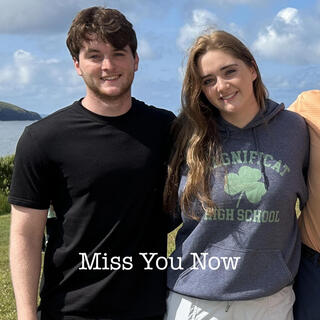 Miss You Now lyrics | Boomplay Music