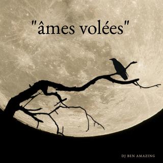 ames volees