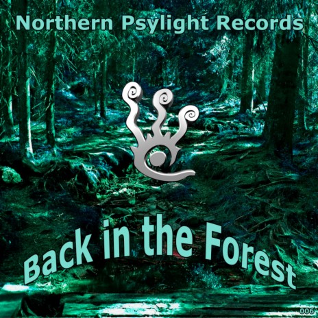 Northern Psylight (Original Mix) | Boomplay Music