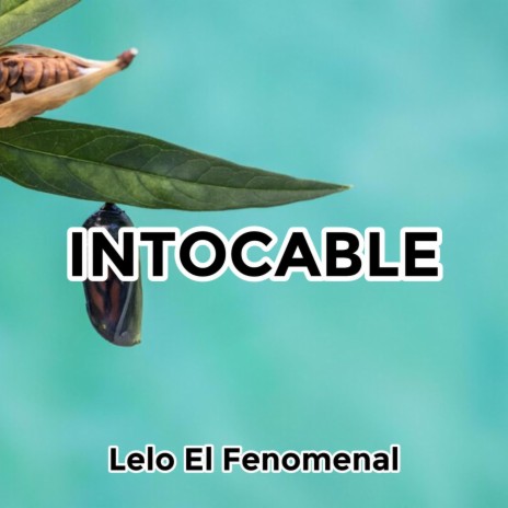 Intocable | Boomplay Music