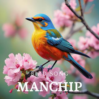 Bird Song lyrics | Boomplay Music