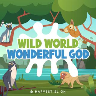 Wild World Wonderful God