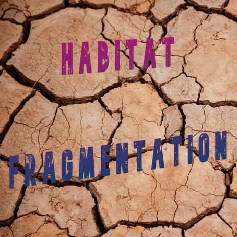 Habitat Fragmentation ft. Ras Maier | Boomplay Music