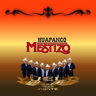 Huapango mestizo