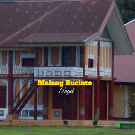 Malang Bucinto | Boomplay Music