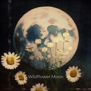 Wildflower Moon lyrics | Boomplay Music