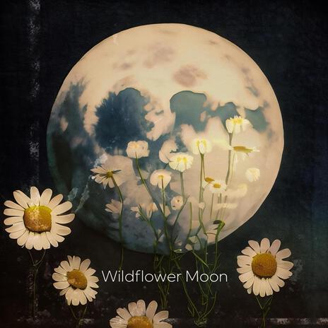 Wildflower Moon | Boomplay Music