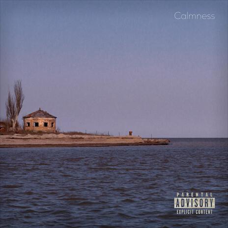 Calmness ft. THINK | Boomplay Music