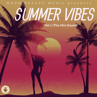 Summer Vibes Vol 1 (The Afro Sound)