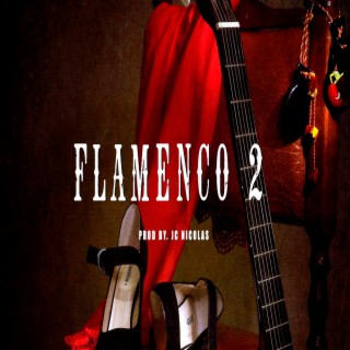 Flamenco 2