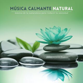 Música Calmante Natural: Música de la Naturaleza para Reducir la Ansiedad