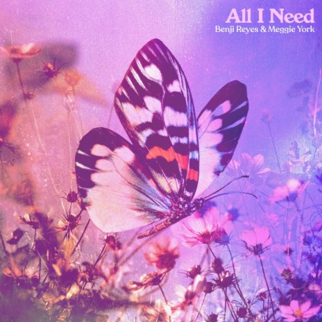 All I Need ft. Meggie York | Boomplay Music