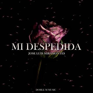 Mi Despedida lyrics | Boomplay Music