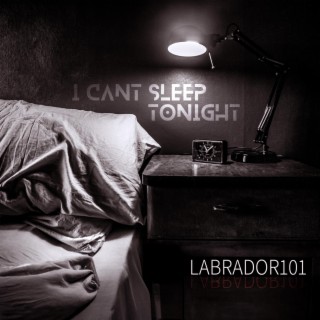 I Can't Sleep Tonight lyrics | Boomplay Music