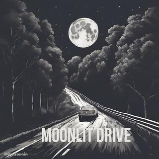 Moonlit Drive