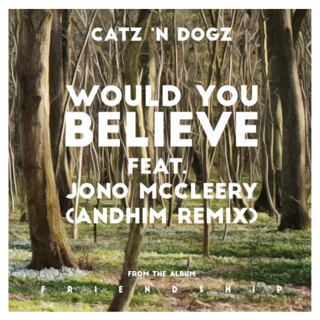 Would You Believe (andhim Remix) ft. Jono McCleery